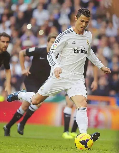 高额的违约 高额的违约