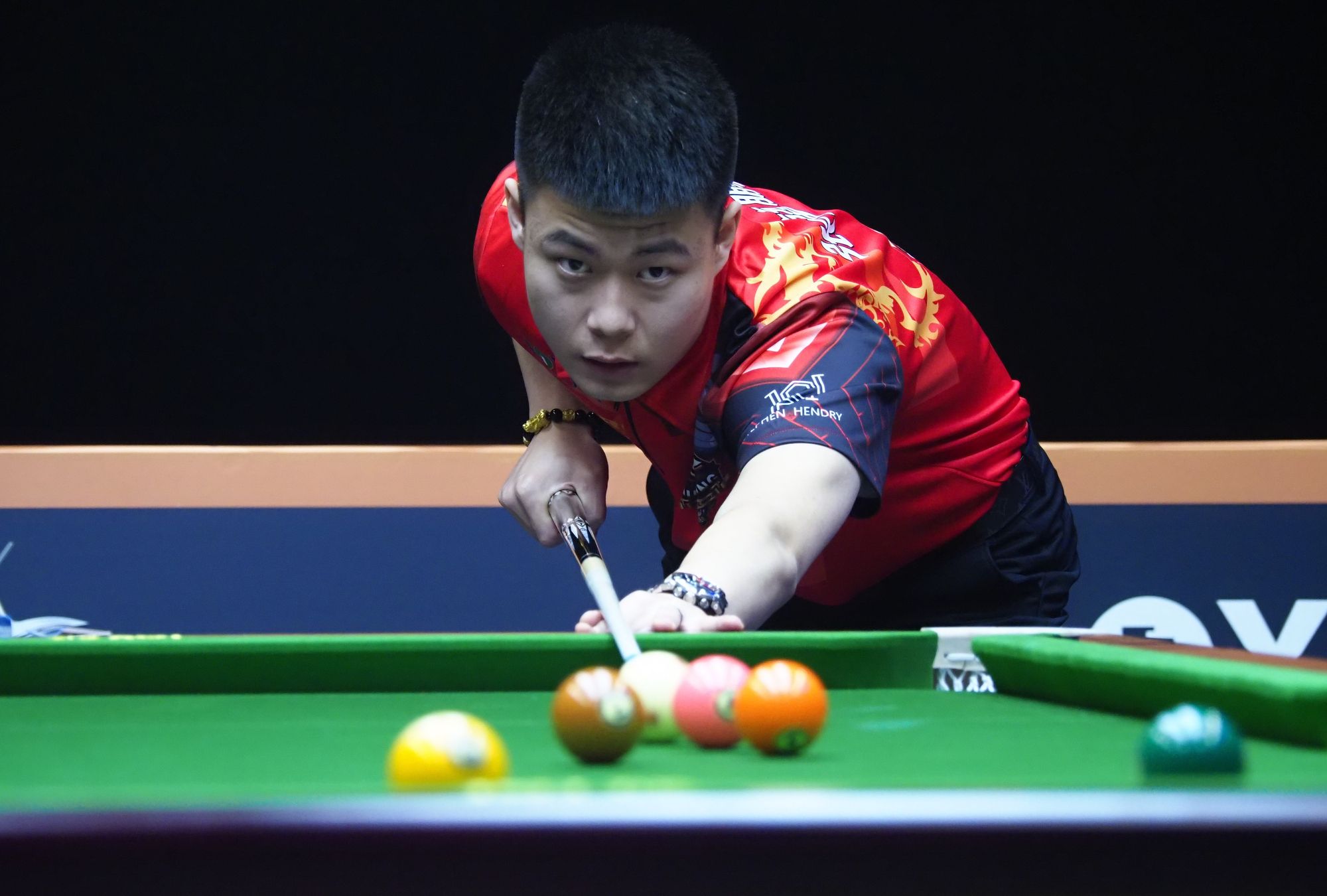 诺克的观众 诺克的观众