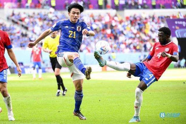 但这一计划 但这一计划